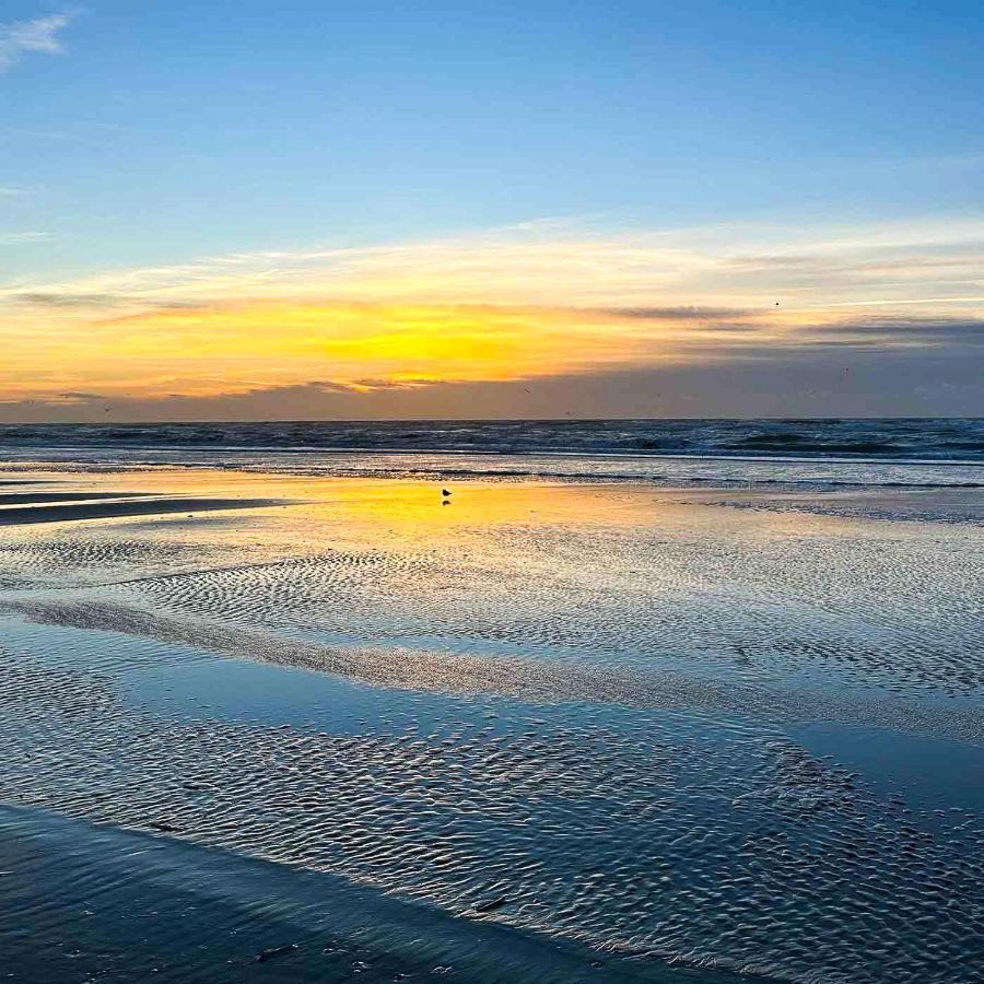 Le Pouget , Studio, Rez De Chaussee, Front De Mer Wifi Le Touquet Экстерьер фото